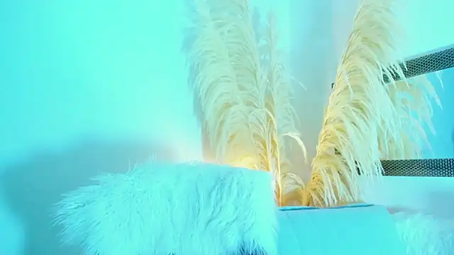 allison 01stone online show from 11/16/25, 08:02