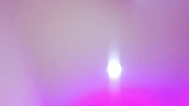 nalalye cruzz  online show from 04/05/26, 03:02