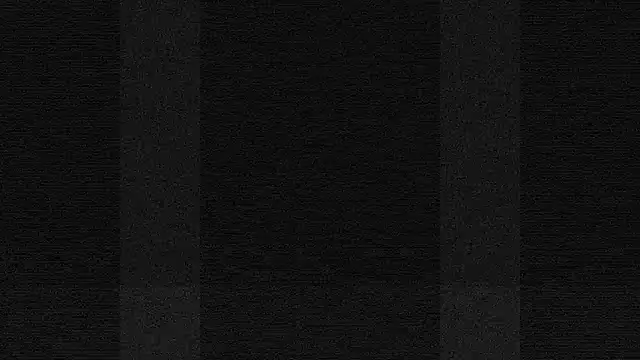 terrybare online show from 10/16/25, 02:03