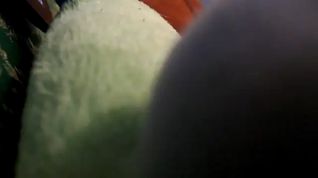 EllyseJenner online show from 04/30/26, 06:15