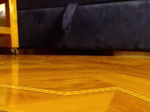 alphaswitchard online show from 03/25/26, 04:06