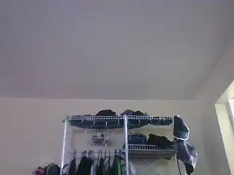 alphaswitchard online show from 12/24/24, 06:50