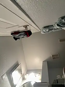 VipSection407 online show from 01/13/26, 03:49