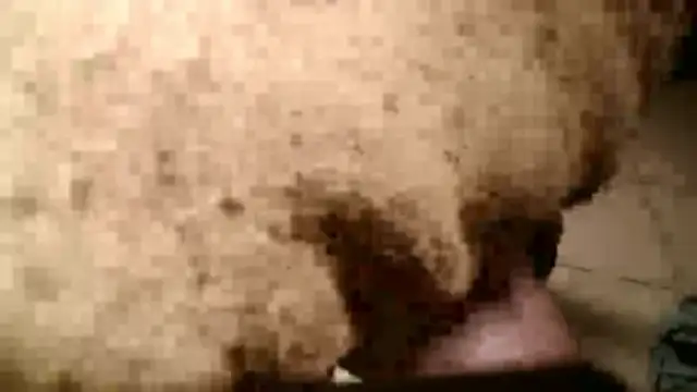 Dan3106x online show from 03/19/26, 07:14