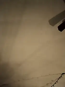 Snapshot of Midwestalpha chatting on 02/21/25, 06:04 Midwestalpha online show from 02/21/25, 06:04