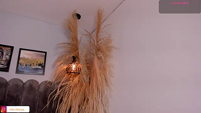 cute  cherry  online show from 04/14/26, 08:25