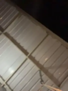 ZahaRoseee online show from 03/26/26, 03:49