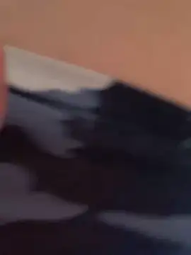 Snapshot of Terrafirma chatting on 01/27/25, 04:11 Terrafirma online show from 01/27/25, 04:11