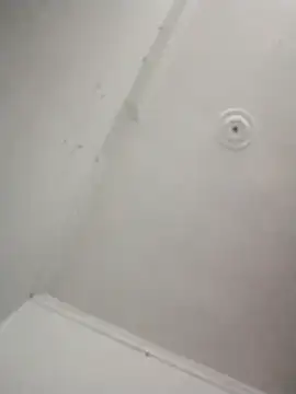 kevin613603 online show from 11/07/25, 05:12