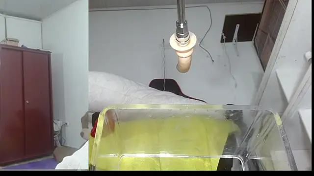 sammyEvans   online show from 11/07/25, 11:19