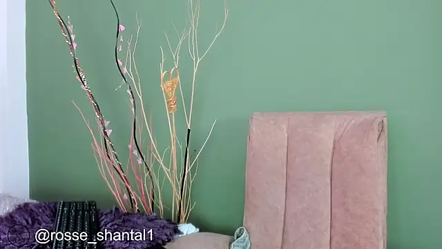 Snapshot of shantal_rosse1 chatting on 11/10/25, 01:49 shantal rosse1 online show from 11/10/25, 01:49