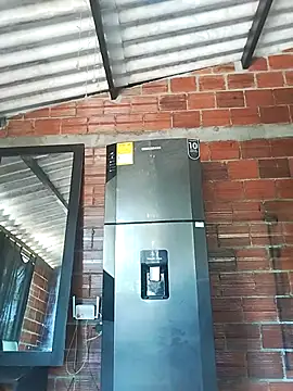 Yelly online show from 03/13/26, 03:39