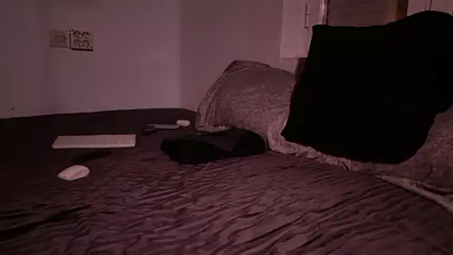 Snapshot of mrj99219 chatting on 01/15/26, 07:12 mrj99219 online show from 01/15/26, 07:12