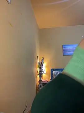 Tasty Shape online show from 11/14/25, 03:37