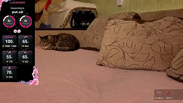 Miss Flexi fit online show from 04/04/26, 08:37