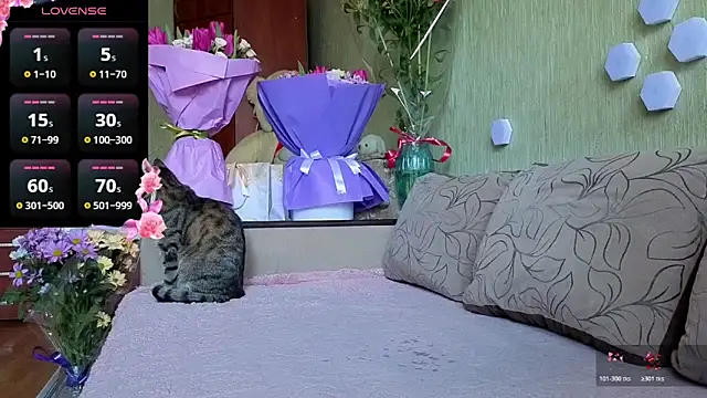 Miss Flexi fit online show from 03/08/26, 12:08