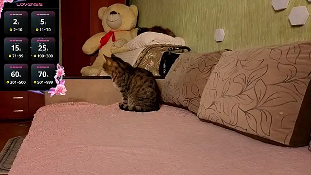 Miss Flexi fit online show from 04/09/26, 04:57