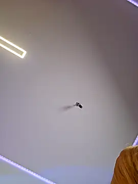 LessiaMia online show from 04/04/26, 07:53