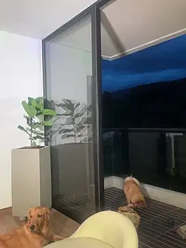 Helenbronwx online show from 12/22/24, 11:09