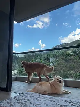 Helenbronwx online show from 01/17/25, 09:28