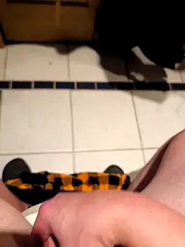 Jackauff69 online show from 03/14/26, 12:55