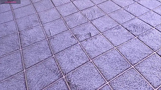 viviann evans online show from 01/13/26, 12:58