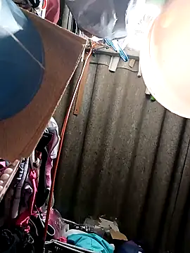 Rayito6969xh online show from 02/05/26, 03:41