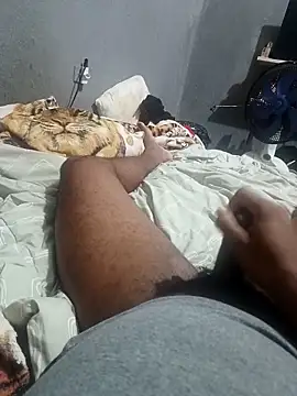 Mailsonp online show from 04/01/26, 05:21