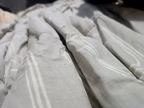 Mailsonp online show from 03/30/26, 03:35