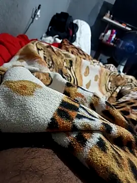 Mailsonp online show from 02/26/26, 03:34