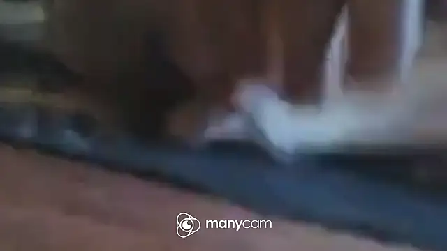 immerGeil79 online show from 04/05/26, 05:58