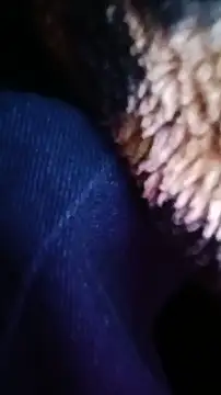 Bigcockmexi13 online show from 07/11/26, 08:53