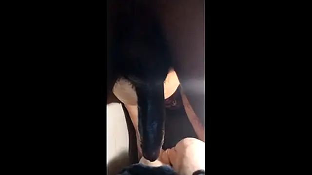 Bigcockmexi13 online show from 11/23/25, 12:48