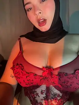 Snapshot of aneesa_darzi chatting on 10/11/25, 10:33 aneesa darzi online show from 10/11/25, 10:33