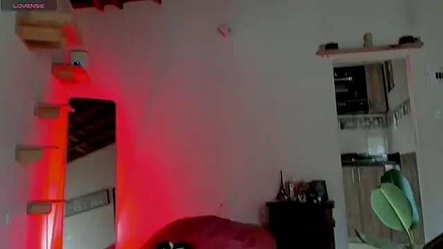 Rainbow leia online show from 03/08/26, 08:01