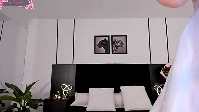 Doll troy online show from 02/19/26, 02:03