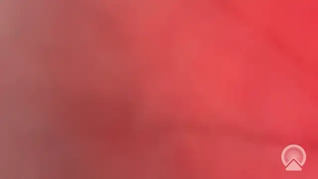 Aulonocara86 online show from 02/10/26, 12:15