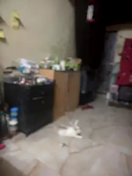 PARI Hun online show from 09/26/25, 04:36