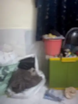 PARI Hun online show from 04/09/26, 12:11