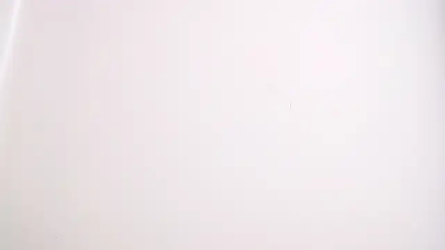 drake brwon 23 online show from 02/14/26, 06:52