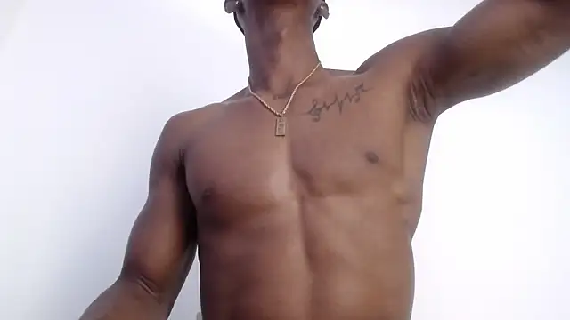 drake brwon 23 online show from 11/13/25, 06:34