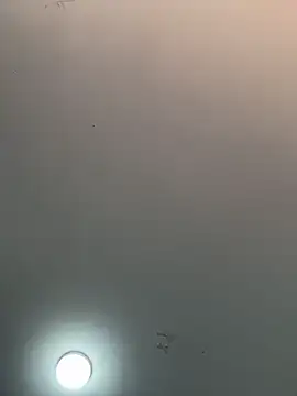  alabina  online show from 02/05/26, 01:29