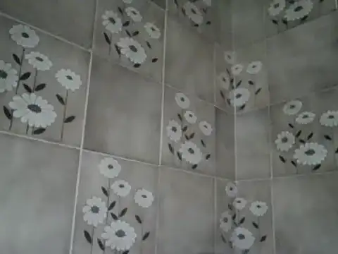 joaodias 97 online show from 01/14/25, 10:12