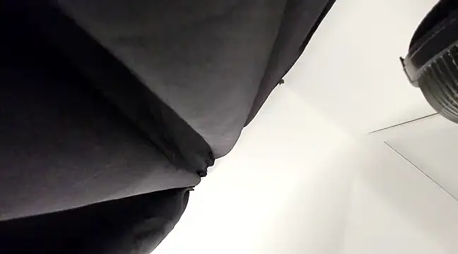 Blum icee online show from 03/17/25, 11:24