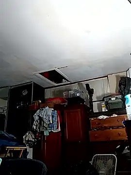 ColdVisitor online show from 04/14/26, 06:29