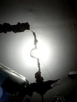 Snapshot of ColdVisitor chatting on 02/06/26, 01:34 ColdVisitor online show from 02/06/26, 01:34