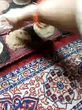 ohana143 online show from 03/17/25, 12:04