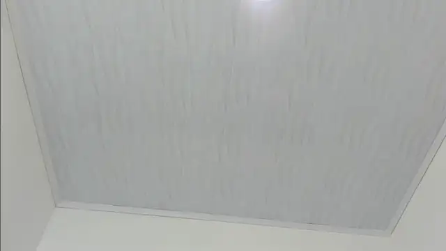 Snapshot of merlyna_goldens chatting on 11/22/25, 11:31 merlyna goldens online show from 11/22/25, 11:31