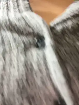 Snapshot of Asia-Lynn chatting on 03/12/25, 04:56 Asia-Lynn online show from 03/12/25, 04:56