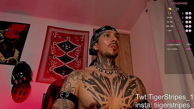 TigerStripes1  online show from 03/19/26, 06:24